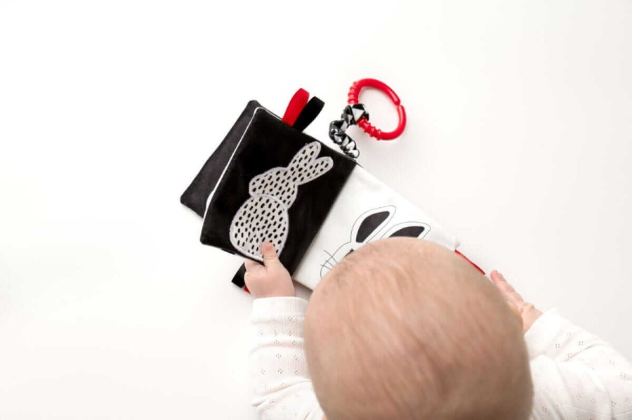 Książeczka Kto to? Co to? / Mom's Care