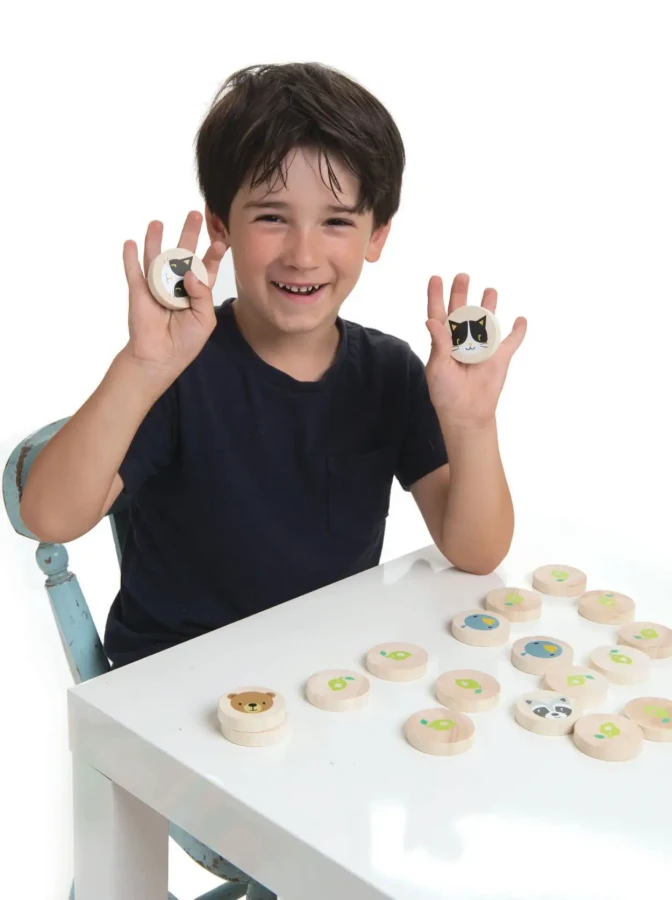 Drewniana gra memory - Sprytny Kot / Tender Leaf Toys