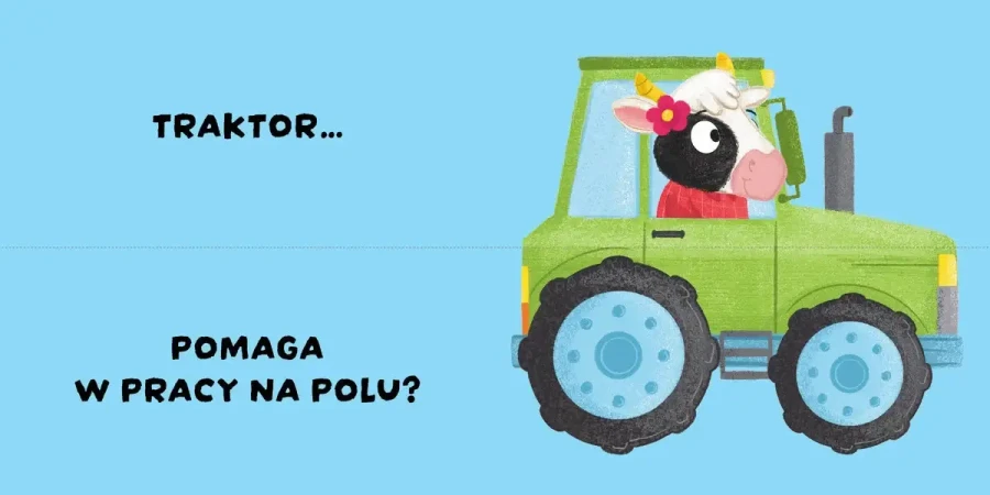 Czy to pasuje? Pojazdy / Wydawnictwo Wilga