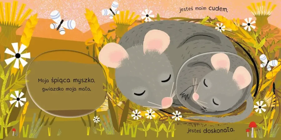 Moje małe szczęście. Uroczy miś / Wydawnictwo Wilga