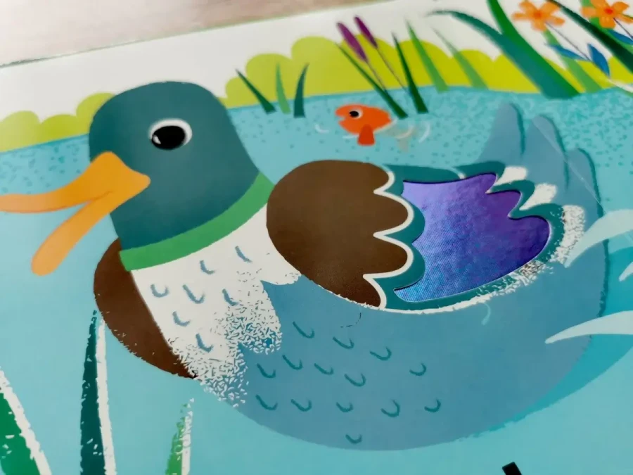 Zwierzęta na wsi. Akademia mądrego dziecka. Dotykam, zgaduję / HarperCollins