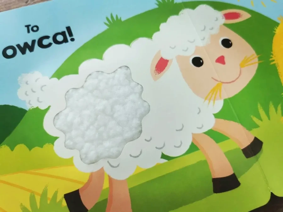 Zwierzęta na wsi. Akademia mądrego dziecka. Dotykam, zgaduję / HarperCollins