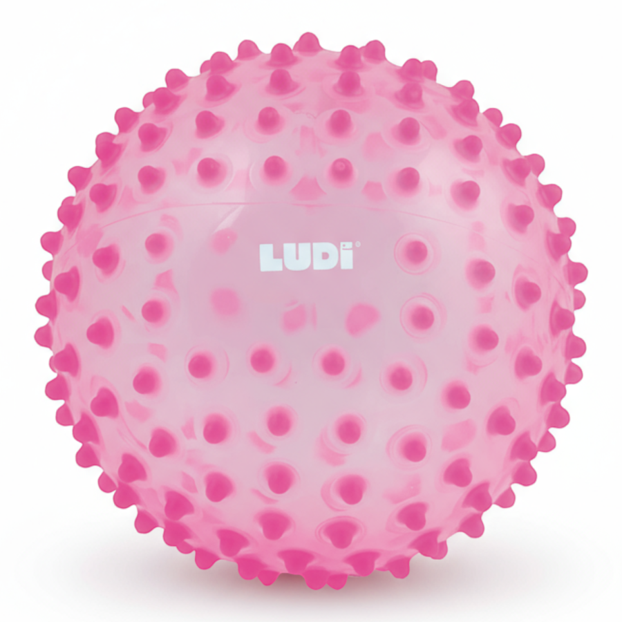 Piłka sensoryczna ⌀20 / LUDI