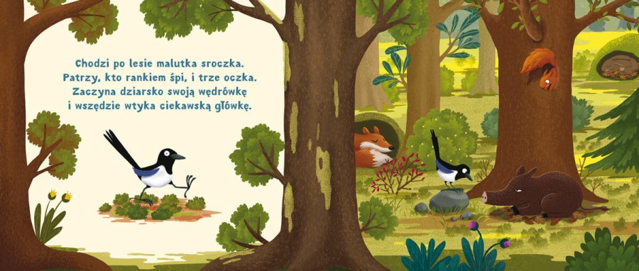 Rok w lesie. Zasypianka / Wydawnictwo Nasza Księgarnia