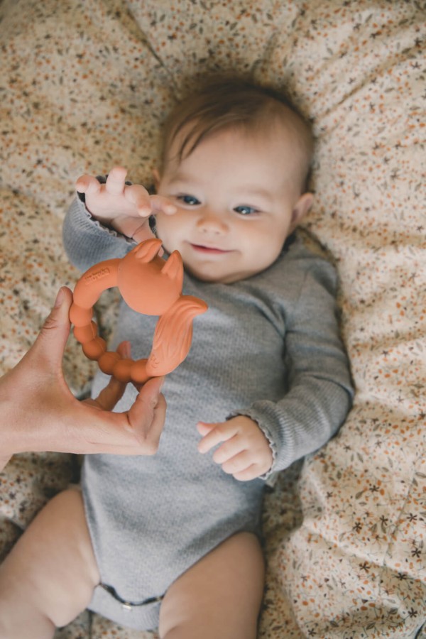 Naturalny gryzak - Lis