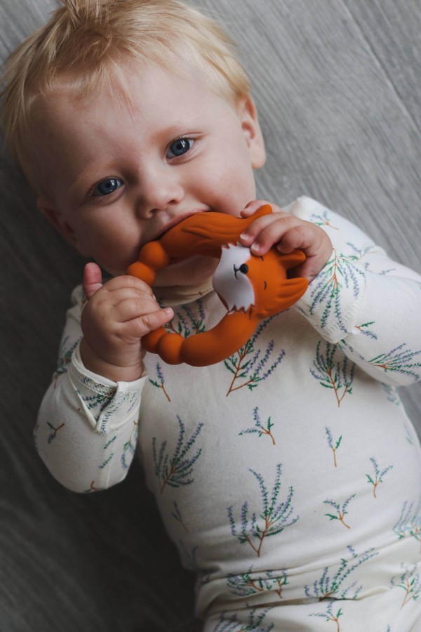 Naturalny gryzak - Lis