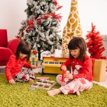 Drewniane ciasteczka / Melissa & Doug