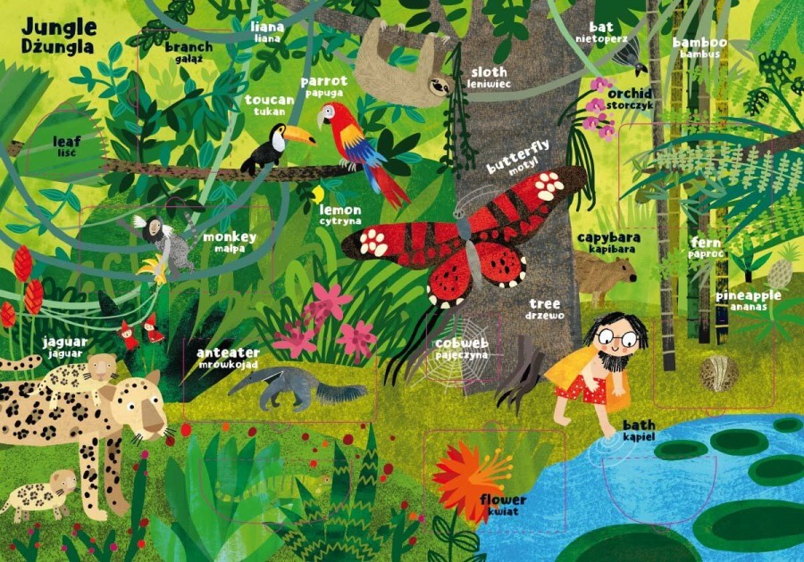 Zwierzęta. Moja pierwsza encyklopedia polsko-angielska z okienkami / Nasza Księgarnia