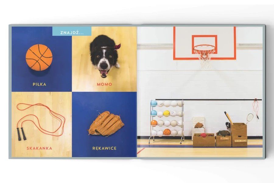 Gdzie jest Momo? / Wydawnictwo Api Papi