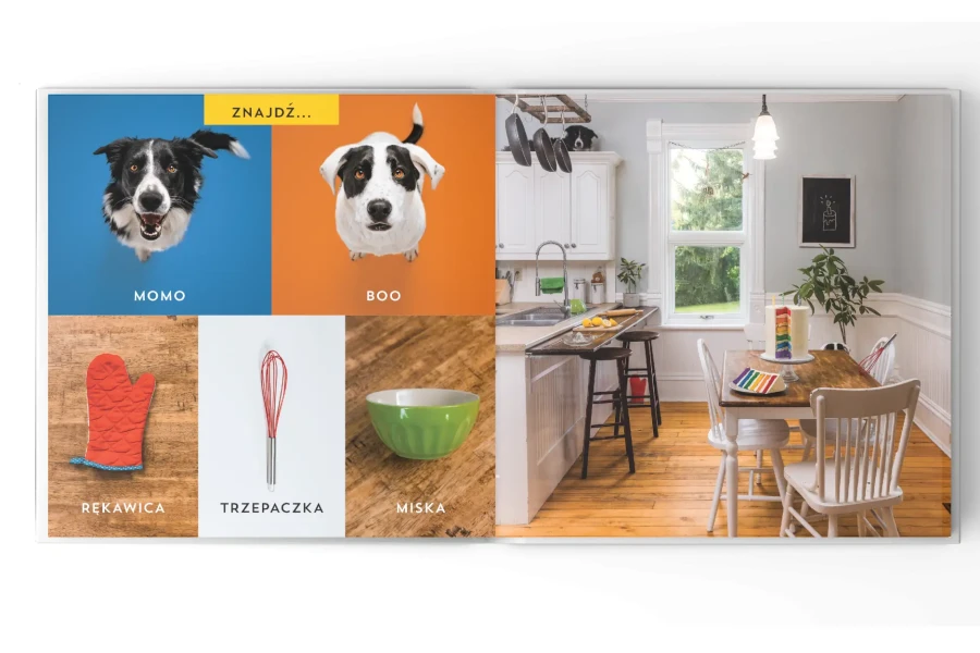 Gdzie jest Momo? W domu! / Wydawnictwo Api Papi