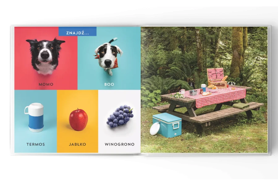 Gdzie jest Momo? W podróży / Wydawnictwo Api Papi