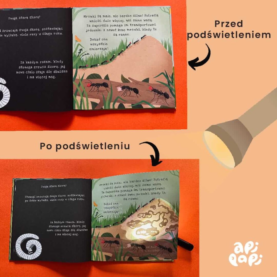 II GATUNEK: Ale Robale. Podświetl i Odkryj / Wydawnictwo Api Papi