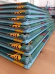 II GATUNEK: Ale Robale. Podświetl i Odkryj / Wydawnictwo Api Papi