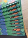 II GATUNEK: Ale Robale. Podświetl i Odkryj / Wydawnictwo Api Papi