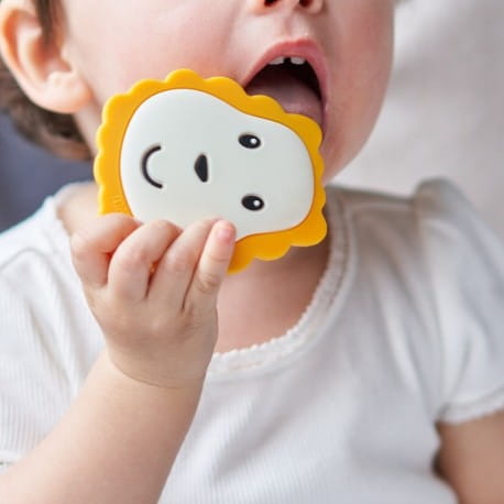 Dziecko w białej koszulce gryzie gryzak w kształcie głowy lwa