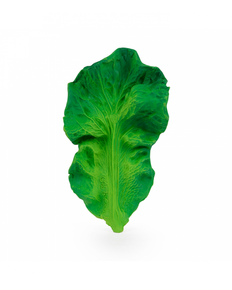 Zielony, pofałdowany liść jarmużu 