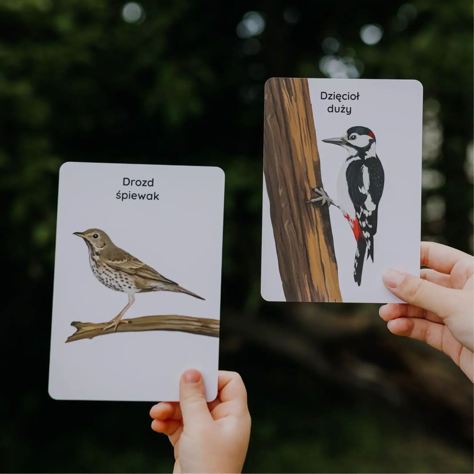 NIEGOTOWE Pomysły na prace plastyczne - jesień: kompletny przewodnik