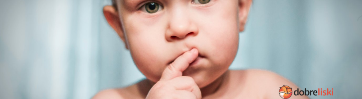 Smoczki - jaki wybrać? Zobaczcie nasze propozycje